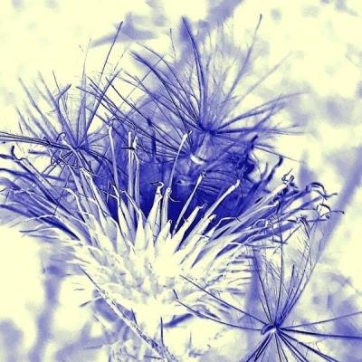 Affin Selected 2021 (2021)