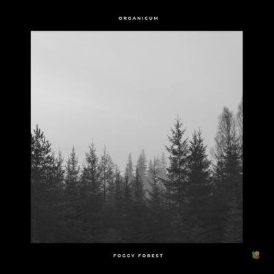 Organicum - Foggy Forest (2021)