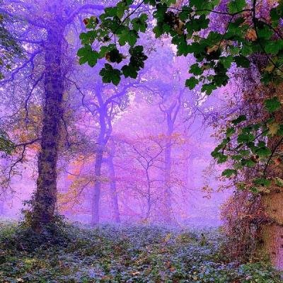 Jerky Dirt - Orse (2021)