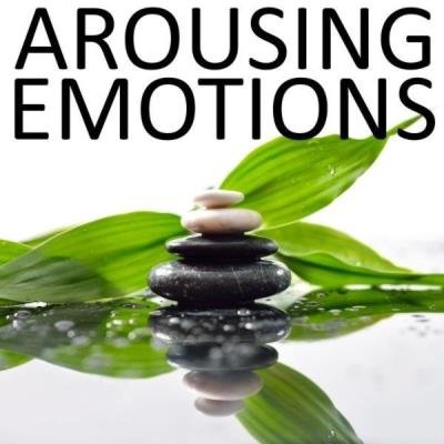 Arousing Emotions (2021)