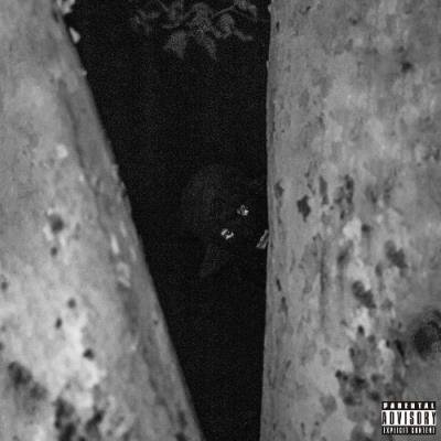 D. Savage - BPL (2021)