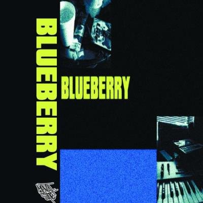 DAM95 - Blueberry (2021)