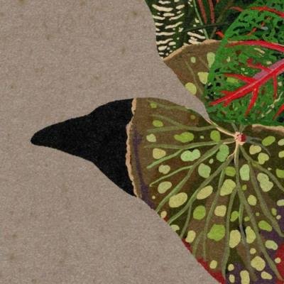 At0 EP2 Curated by Coldcut (2021)