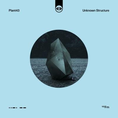 Plant43 - Unknown Structure (2021)