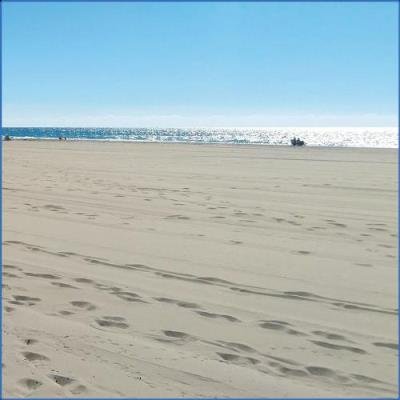 Pub - Single (20th Anniversary Edition) (2021)