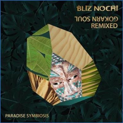 Bliz Nochi - Gokarn Soul Remixed (2021)