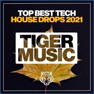 Top Best Tech House Drops 2021 (2021)
