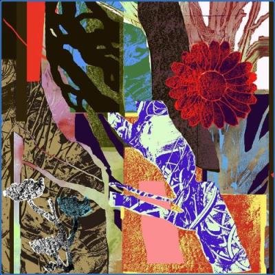 Cosmic Tiger Pres. Messages, Vol. 1 (2021)