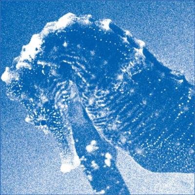 Ichiko Aoba - Windswept Adan (Concert at Bunkamura Orchard Hall) (2021)