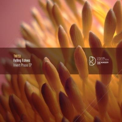 Falling Echoes - Invert Phase EP (2021)