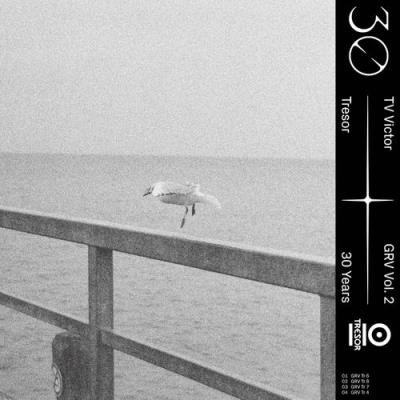 TV Victor - GRV, Vol. 2 (2021)