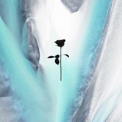 Erly Tepshi - Dune (2021)