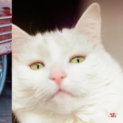 Money House Club - Aeerhh (2021)