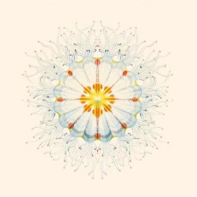 Charlie Charlie feat. Bella Boo, Chords - Little Things (2021)