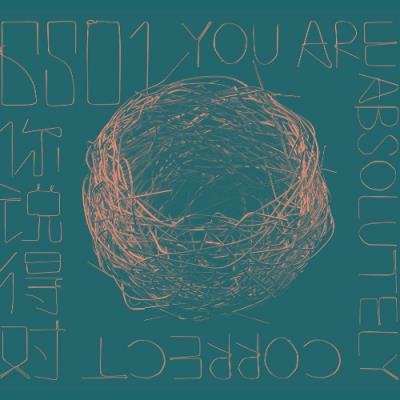 6501 - You Are Absolutely Correct (2021)