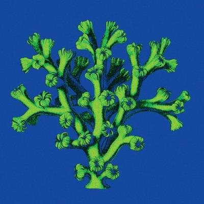 Mistareez - Surface Comms (Sonder Series 03) (2021)