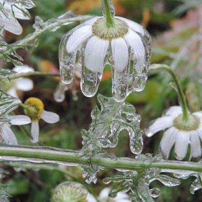 nthng - Earthseed (2021)