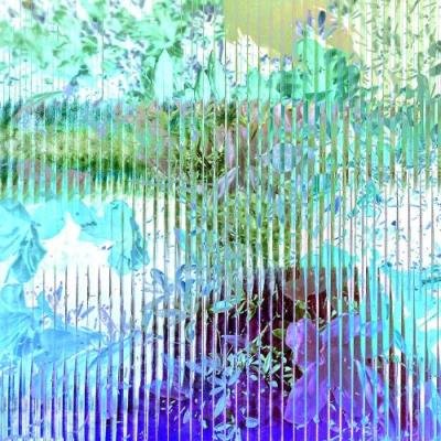 Etcetc Yearbook: 2021 (2021)