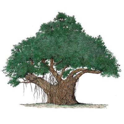 Riff - Jack's Jive (2021)