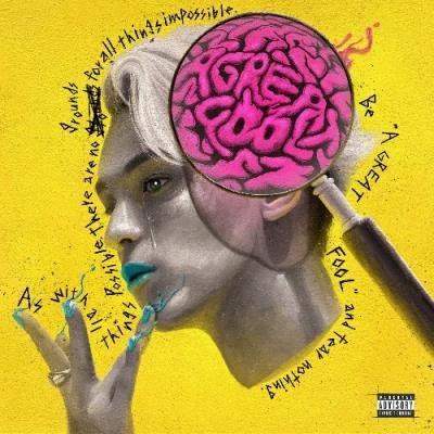 Novel Core - A Great Fool (2021)