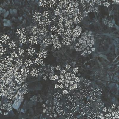 EAFHM - Distant Tierra (2021)