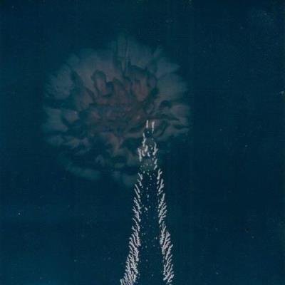 Blanket Swimming - Leaves Painted In A Darker Blue (2021)