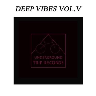 Deep Vibes Vol. V (2021)