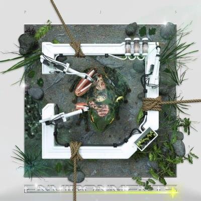 PJS - Environments (2021)