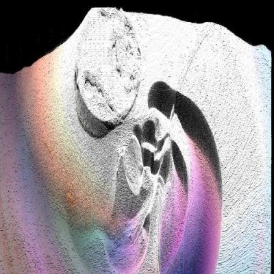 Juta - Into Error Or Morally Questionable Behaviour (2021)