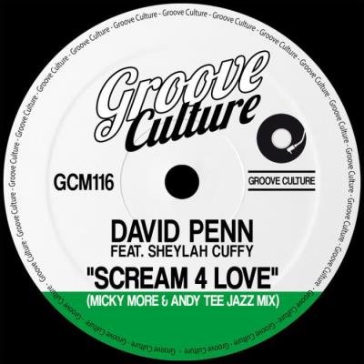 David Penn - Scream 4 Love (Micky More and Andy Tee Jazz Mixes) (2021)