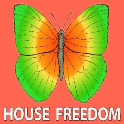 Injection Tech (2021)