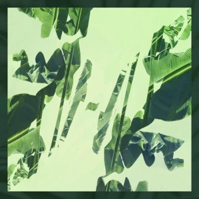 Rene Lorenzo - Belleza Oculta (2021)