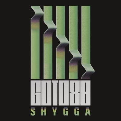 Goto80 - S H Y G G A (2021)