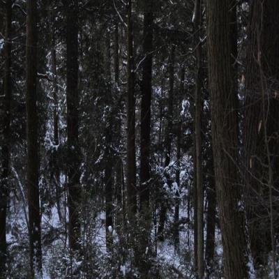 drS (FI) - Back Down (2021)