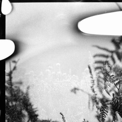 Block Scientist & Fat Beats - Oceania Kites (2021)