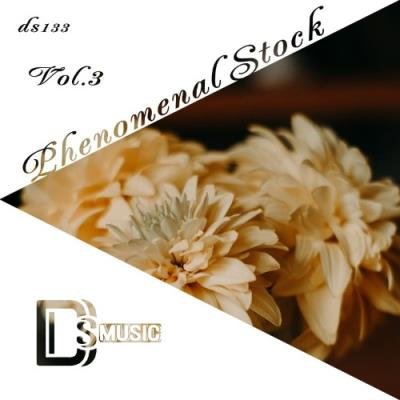 Phenomenal Stock, Vol. 3 (2022)