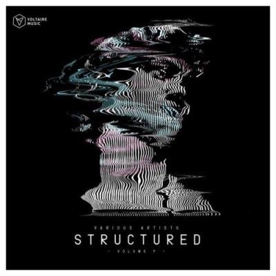 Voltaire Music Pres. Structured, Vol. 9 (2022)