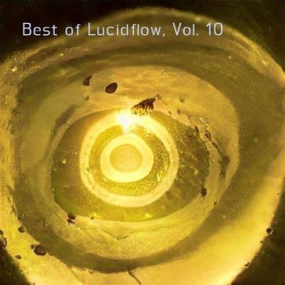 Best of Lucidflow, Vol. 10 (2022)