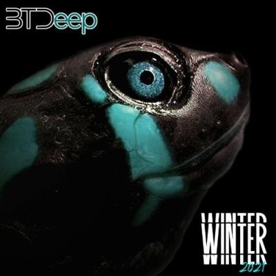 Btdeep Winter 2021 (2022)