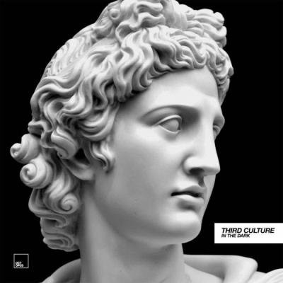 Third Culture - In The Dark (2022)