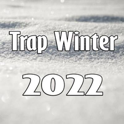 Soundfield - Trap Winter 2022 (2022)