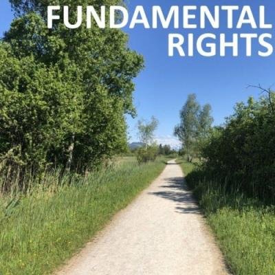 CHILI BEATS - Fundamental Rights (2022)