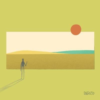 Mesh Convergence - Kave Bug (2022)