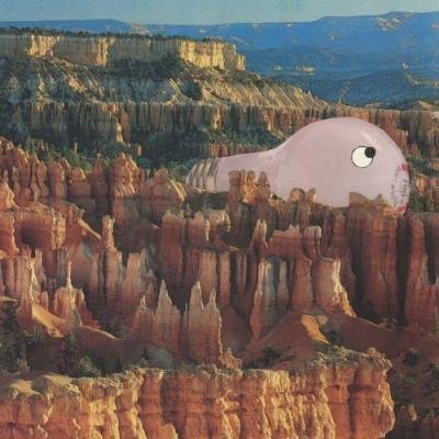 Sana Shenai - Warm Former (2022)