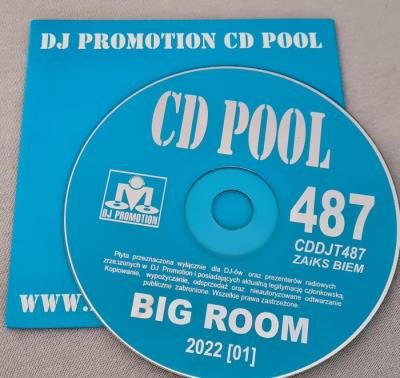DJ Promotion CD Pool Big Room 487 (2022)