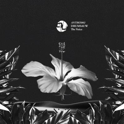 Drumsauw - The Voice (2022)