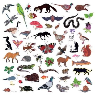 Modern Nature - Island of Noise (2022)