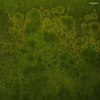 Xibaba - Reproductive Phase (2022)