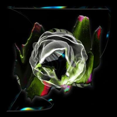 Sam Shure & Francesca Siano - Malfunction (2022)