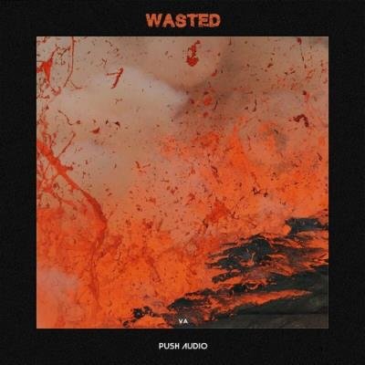 Push Audio - Wasted (2022)